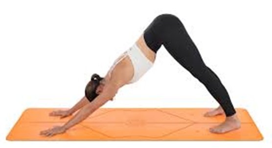 Downward-Facing Dog (Adho Mukha Svanasana)