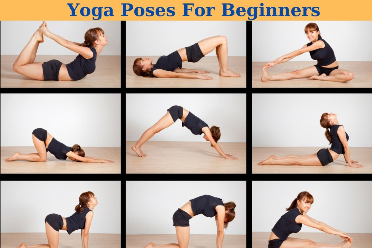 yoga poses for beginners